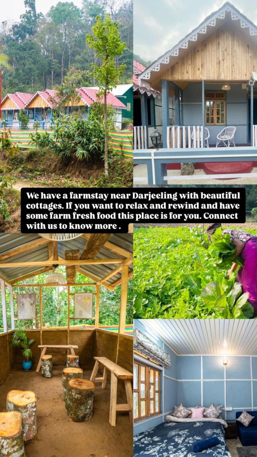 Monratino The Snow Roost- 10 Mins Walking Distance From Mall Road- Attached Balcony With Kanchenjunga Mountain View-Kitchen Available Darjeeling  Esterno foto